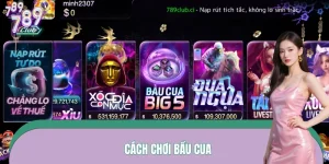 Cách Chơi Bầu Cua – Hướng Dẫn Thực Tế Cho Người Mới